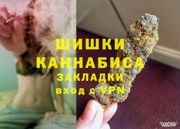 гашик Сосновый Бор