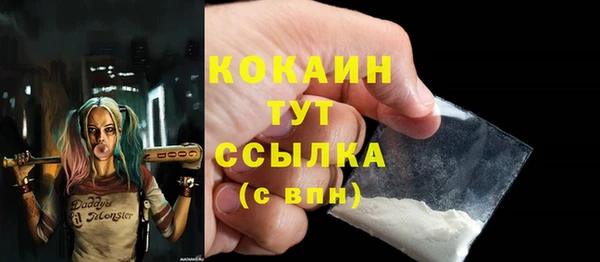 гашик Сосновый Бор