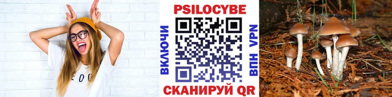 Галлюциногенные грибы Cubensis  цены   ссылка на мегу зеркало  Ялта 